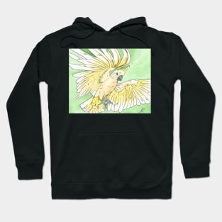 watercolor flying sulphur crested cockatoo hug with lineart Hoodie